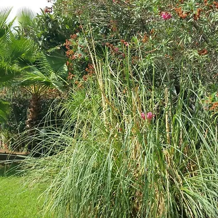 Ines Con Piscina Sud Sardegna 빌라